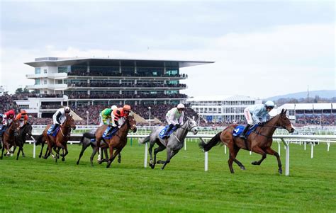 cheltenham going friday|Cheltenham Festival Tips, Race Cards, Results and Free Bets.
